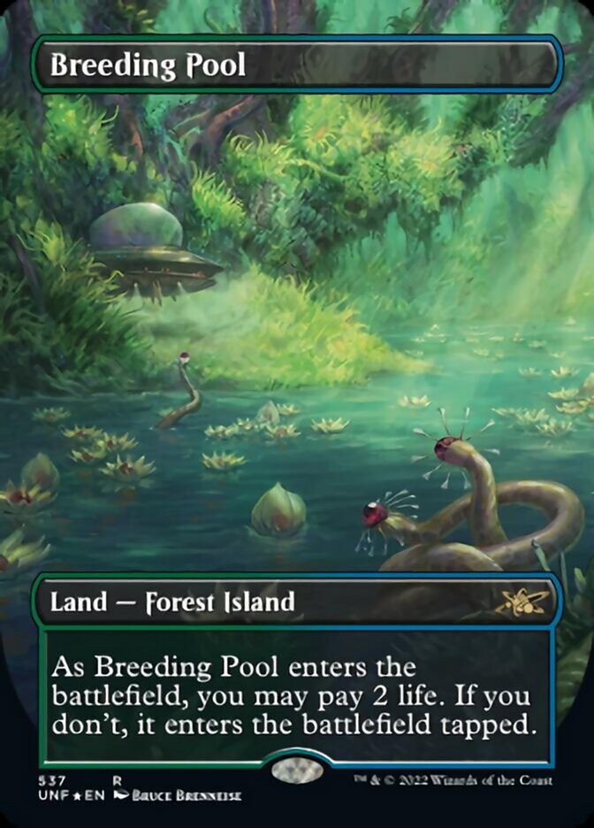 Breeding Pool (Borderless) (Galaxy Foil) [Unfinity] | Eastridge Sports Cards & Games