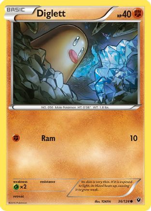 Diglett (36/124) [XY: Fates Collide] | Eastridge Sports Cards & Games