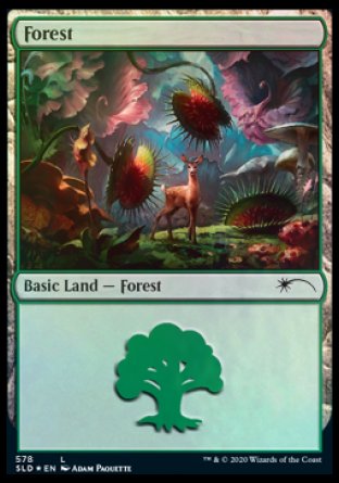 Forest (Predatory) (578) [Secret Lair Drop Promos] | Eastridge Sports Cards & Games