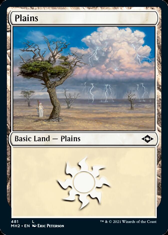 Plains (481) (Foil Etched) [Modern Horizons 2] | Eastridge Sports Cards & Games