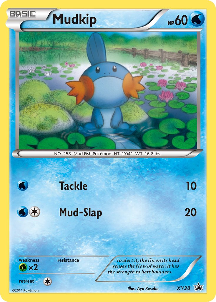 Mudkip (XY38) [XY: Black Star Promos] | Eastridge Sports Cards & Games