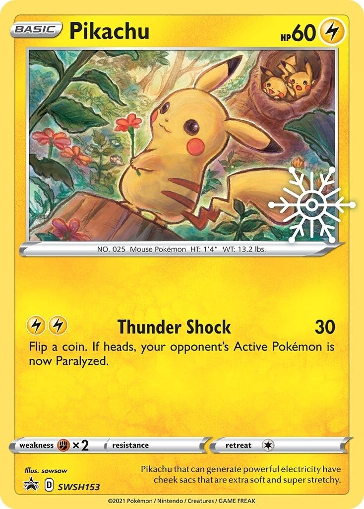 Pikachu (SWSH153) (Holiday Calendar) [Sword & Shield: Black Star Promos] | Eastridge Sports Cards & Games