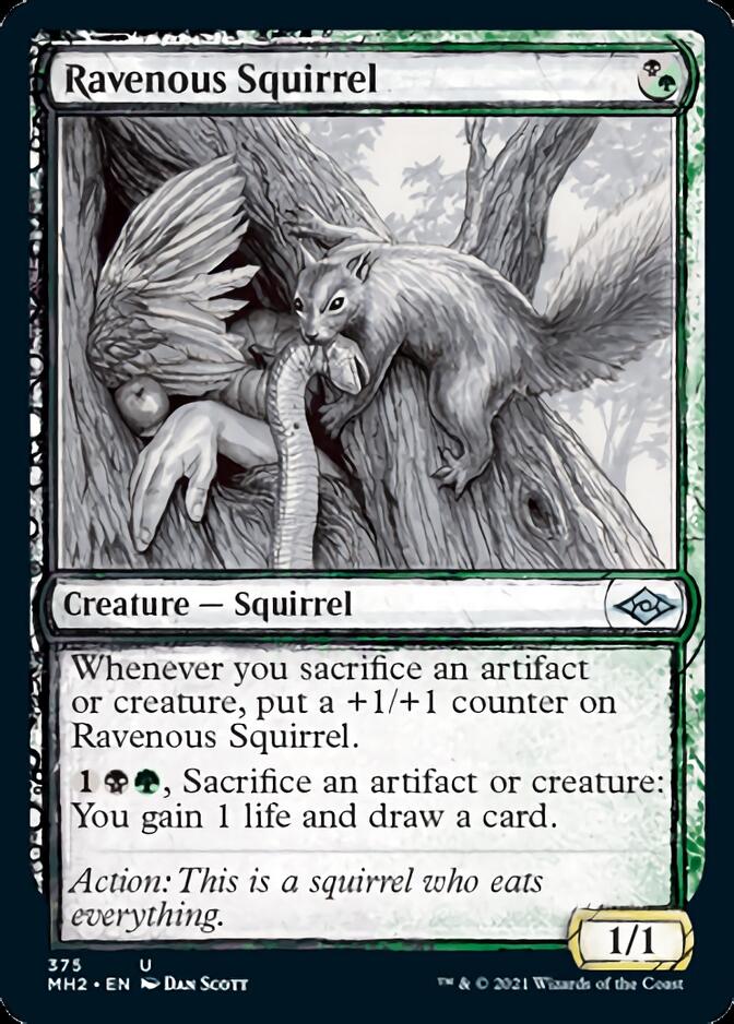 Ravenous Squirrel (Sketch) [Modern Horizons 2] | Eastridge Sports Cards & Games