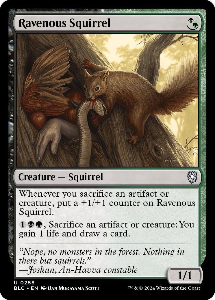 Ravenous Squirrel [Bloomburrow Commander] | Eastridge Sports Cards & Games