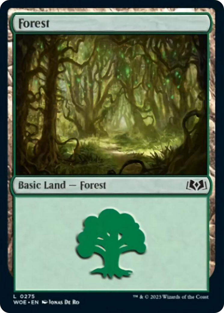 Forest (0275) [Wilds of Eldraine] | Eastridge Sports Cards & Games