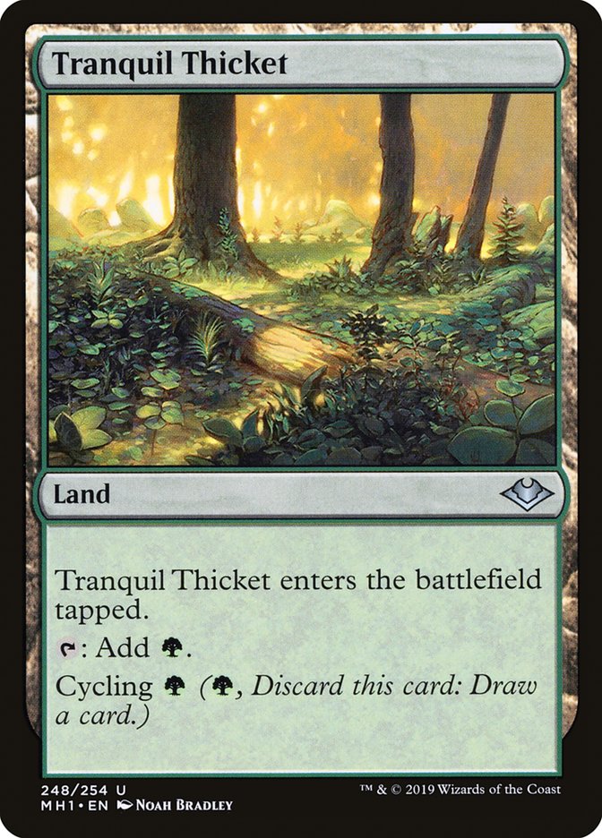 Tranquil Thicket [Modern Horizons] | Eastridge Sports Cards & Games