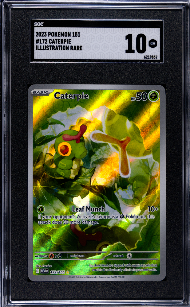 2023 Pokemon Scarlet & Violet 151 #172 Caterpie - Illustration Rare SGC 10 | Eastridge Sports Cards & Games