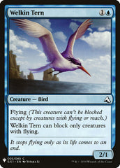 Welkin Tern [Mystery Booster] | Eastridge Sports Cards & Games