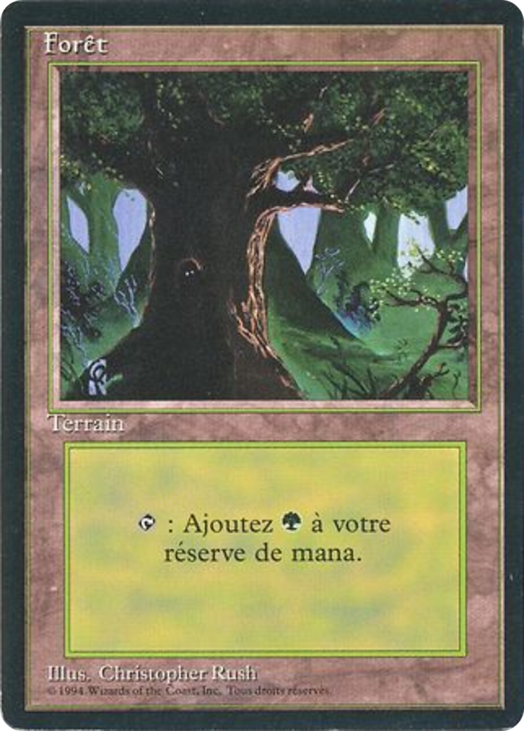 Forest (C) [Revised Edition (Foreign Black Border)] | Eastridge Sports Cards & Games