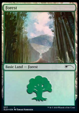 Forest (Walls) (577) [Secret Lair Drop Promos] | Eastridge Sports Cards & Games