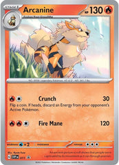 Arcanine (011) [Scarlet & Violet: Black Star Promos] | Eastridge Sports Cards & Games