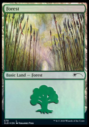 Forest (Elves) (579) [Secret Lair Drop Promos] | Eastridge Sports Cards & Games