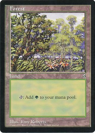 Forest (Oversized) [Oversize Cards] | Eastridge Sports Cards & Games