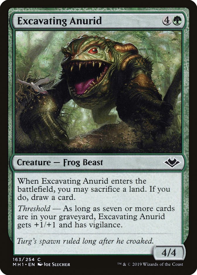 Excavating Anurid [Modern Horizons] | Eastridge Sports Cards & Games