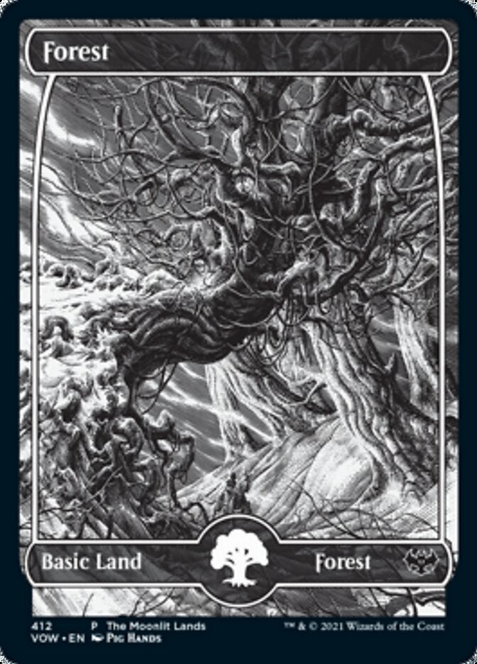 Forest (The Moonlit Lands) (Foil Etched) [Innistrad: Crimson Vow Promos] | Eastridge Sports Cards & Games