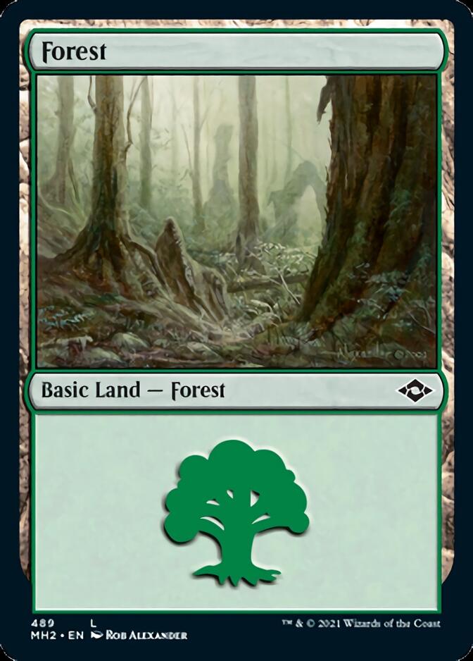 Forest (489) [Modern Horizons 2] | Eastridge Sports Cards & Games