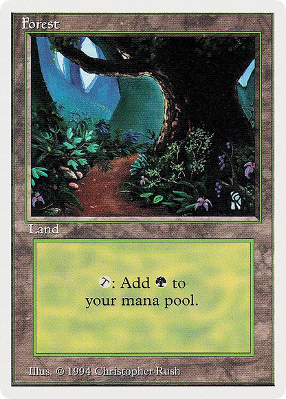 Forest (B) [Summer Magic]