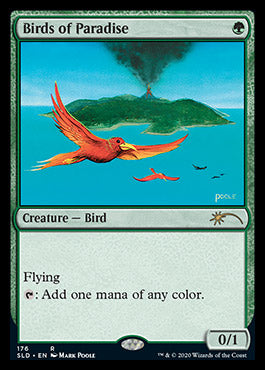 Birds of Paradise (176) [Secret Lair Drop Series] | Eastridge Sports Cards & Games