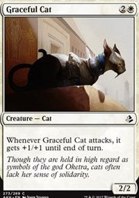 Graceful Cat [Amonkhet] | Eastridge Sports Cards & Games