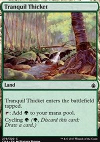Tranquil Thicket [Commander Anthology] | Eastridge Sports Cards & Games