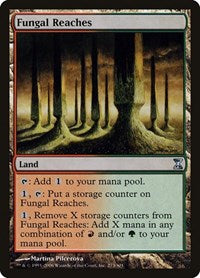 Fungal Reaches [Time Spiral] | Eastridge Sports Cards & Games