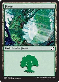 Forest (34) [Duel Decks: Elves vs. Inventors] | Eastridge Sports Cards & Games