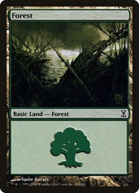Forest [Time Spiral] | Eastridge Sports Cards & Games