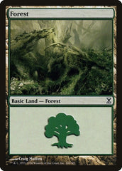 Forest [Time Spiral] | Eastridge Sports Cards & Games