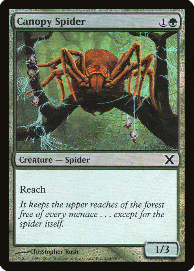 Canopy Spider (Premium Foil) [Tenth Edition] | Eastridge Sports Cards & Games