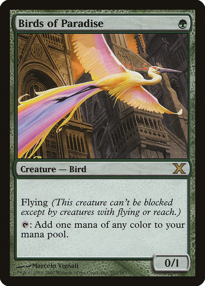 Birds of Paradise [Tenth Edition] | Eastridge Sports Cards & Games