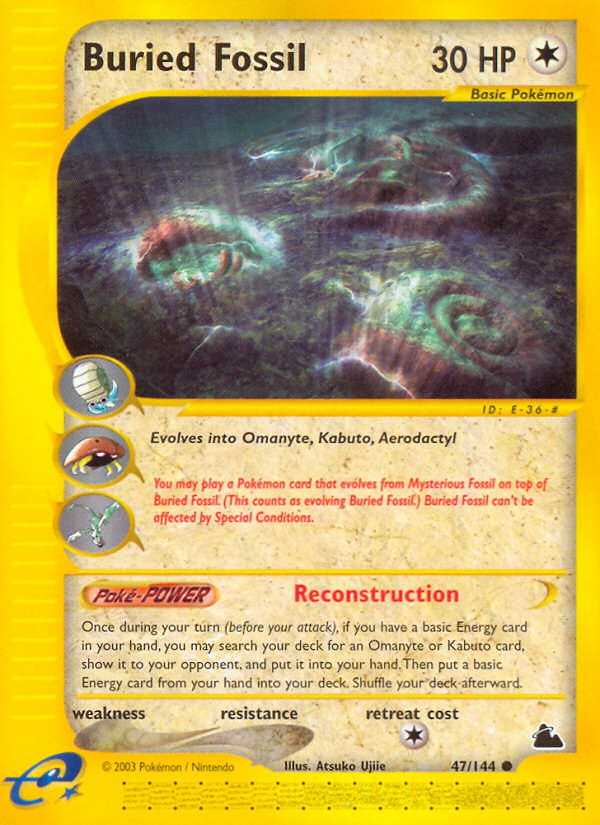 Buried Fossil (47/144) [Skyridge] | Eastridge Sports Cards & Games