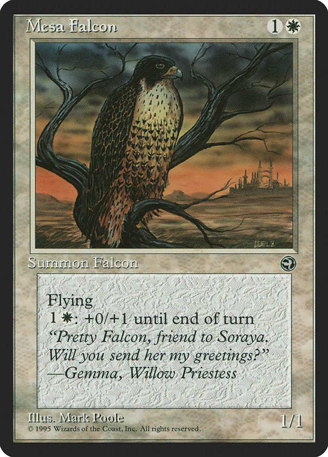 Mesa Falcon (Gemma Flavor Text) [Homelands] | Eastridge Sports Cards & Games