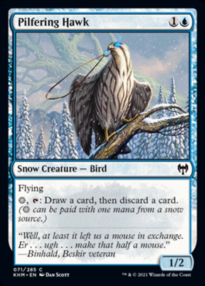 Pilfering Hawk [Kaldheim] | Eastridge Sports Cards & Games