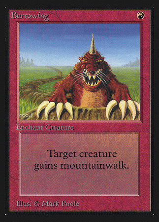 Burrowing (CE) [Collectors’ Edition] | Eastridge Sports Cards & Games