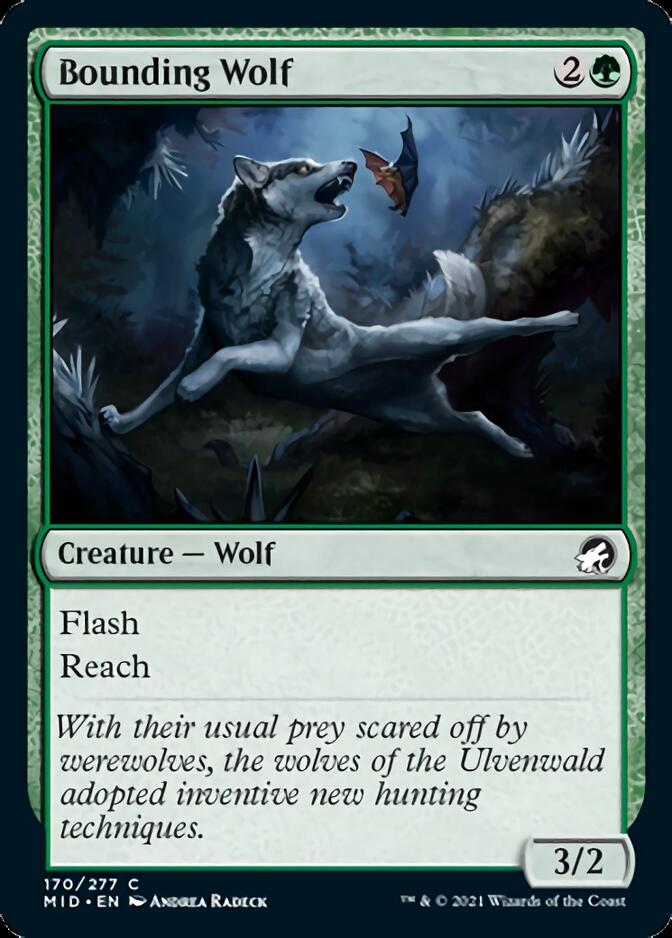 Bounding Wolf [Innistrad: Midnight Hunt] | Eastridge Sports Cards & Games