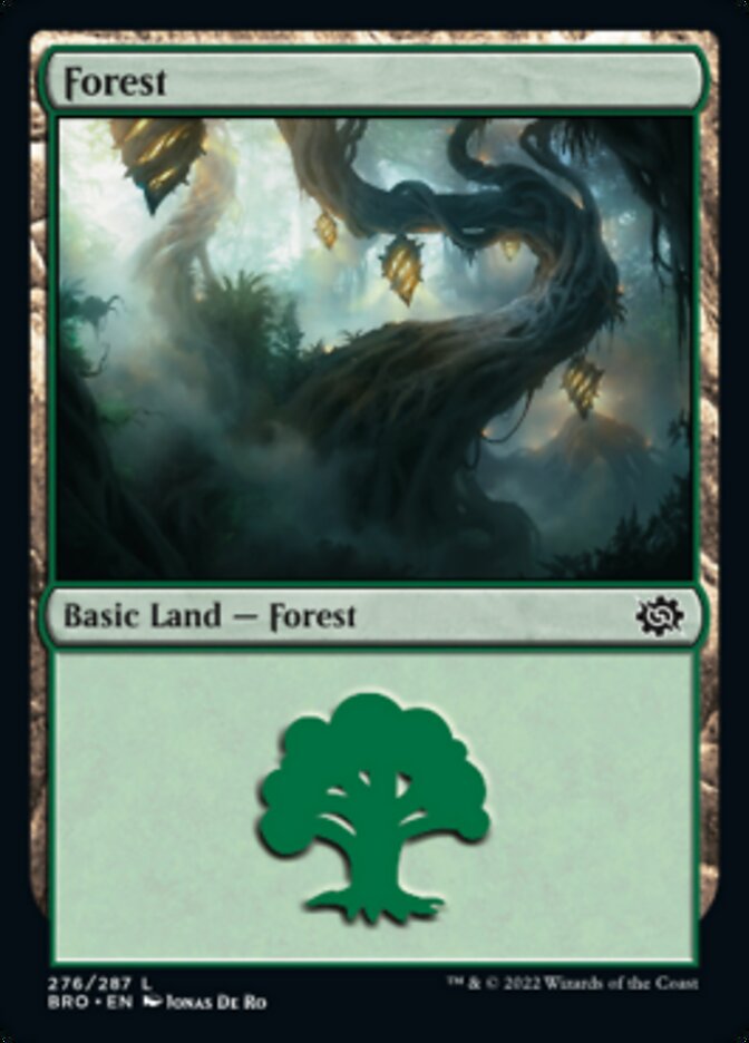 Forest (276) [The Brothers' War] | Eastridge Sports Cards & Games