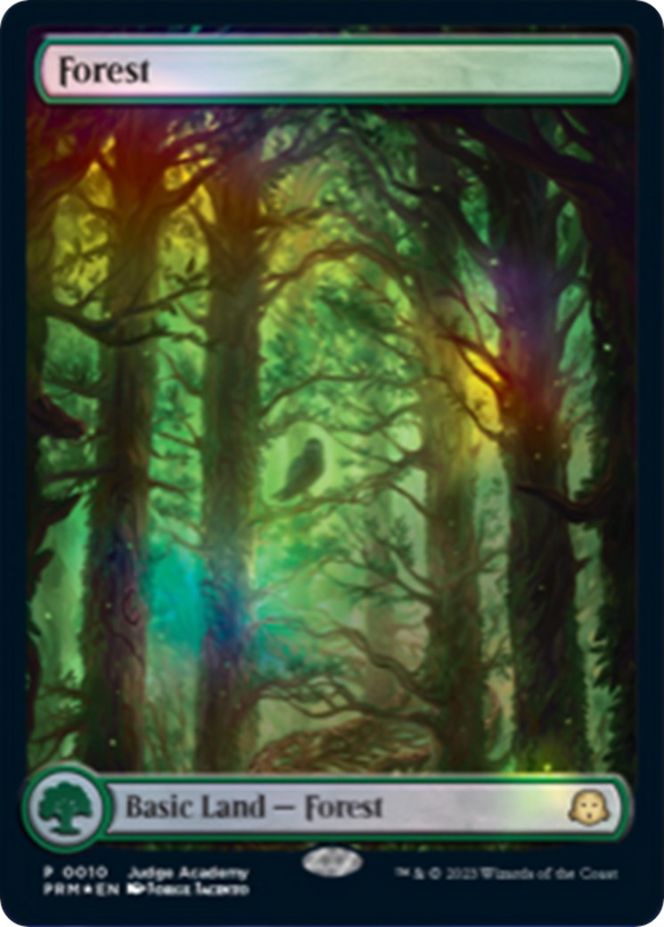 Forest [Judge Gift Cards 2023] | Eastridge Sports Cards & Games