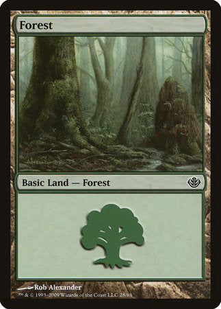 Forest (28) [Duel Decks: Garruk vs. Liliana] | Eastridge Sports Cards & Games