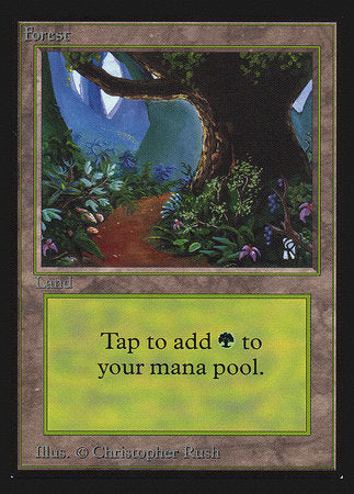 Forest (Path)(IE) [Intl. Collectors’ Edition] | Eastridge Sports Cards & Games