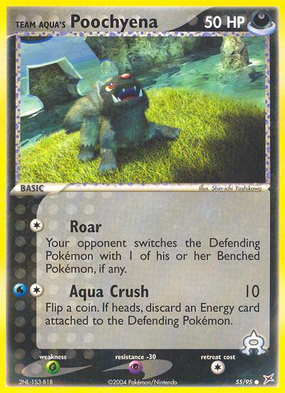 Team Aqua's Poochyena (55/95) [EX: Team Magma vs Team Aqua] | Eastridge Sports Cards & Games