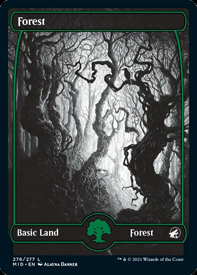 Forest (276) [Innistrad: Midnight Hunt] | Eastridge Sports Cards & Games