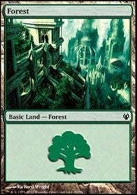 Forest (90) [Duel Decks: Izzet vs. Golgari] | Eastridge Sports Cards & Games