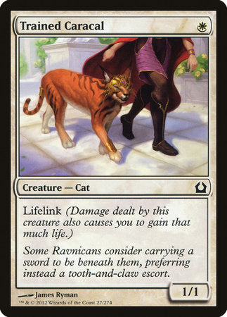 Trained Caracal [Return to Ravnica] | Eastridge Sports Cards & Games