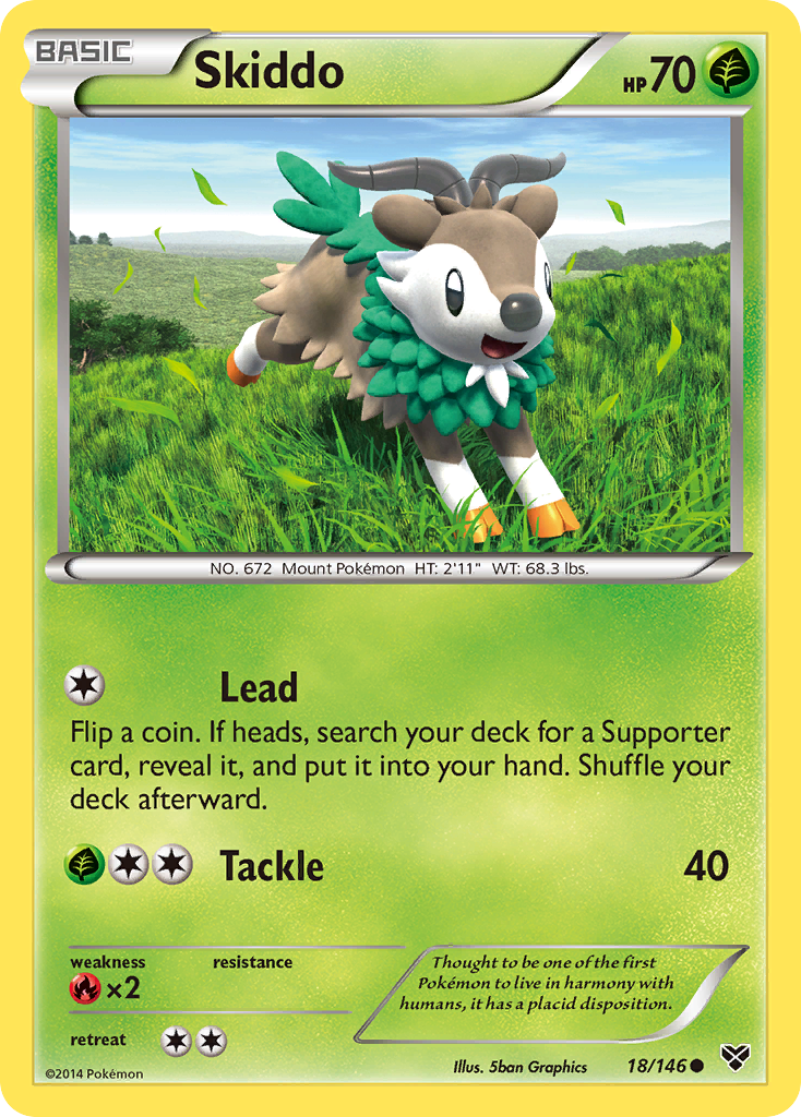 Skiddo (18/146) [XY: Base Set] | Eastridge Sports Cards & Games