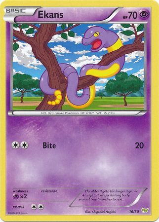 Ekans (16/30) [XY: Trainer Kit - Noivern] | Eastridge Sports Cards & Games