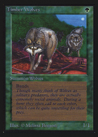 Timber Wolves (IE) [Intl. Collectors’ Edition] | Eastridge Sports Cards & Games