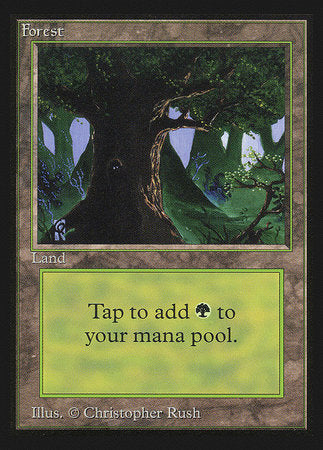 Forest (Eyes)(IE) [Intl. Collectors’ Edition] | Eastridge Sports Cards & Games