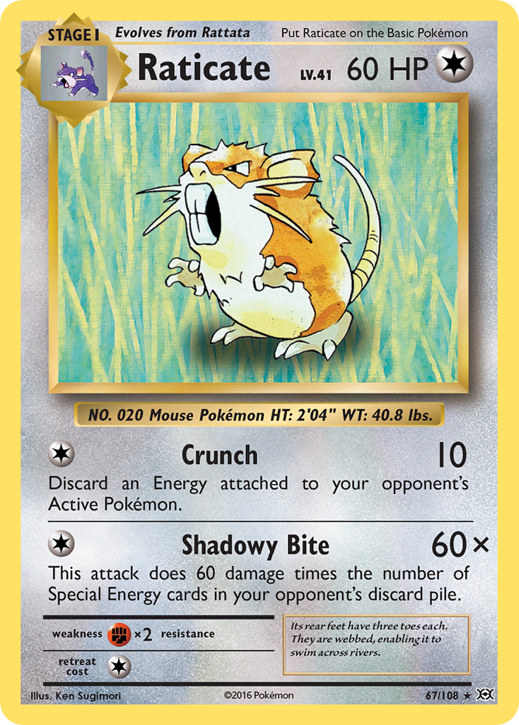Raticate (67/108) [XY: Evolutions] | Eastridge Sports Cards & Games