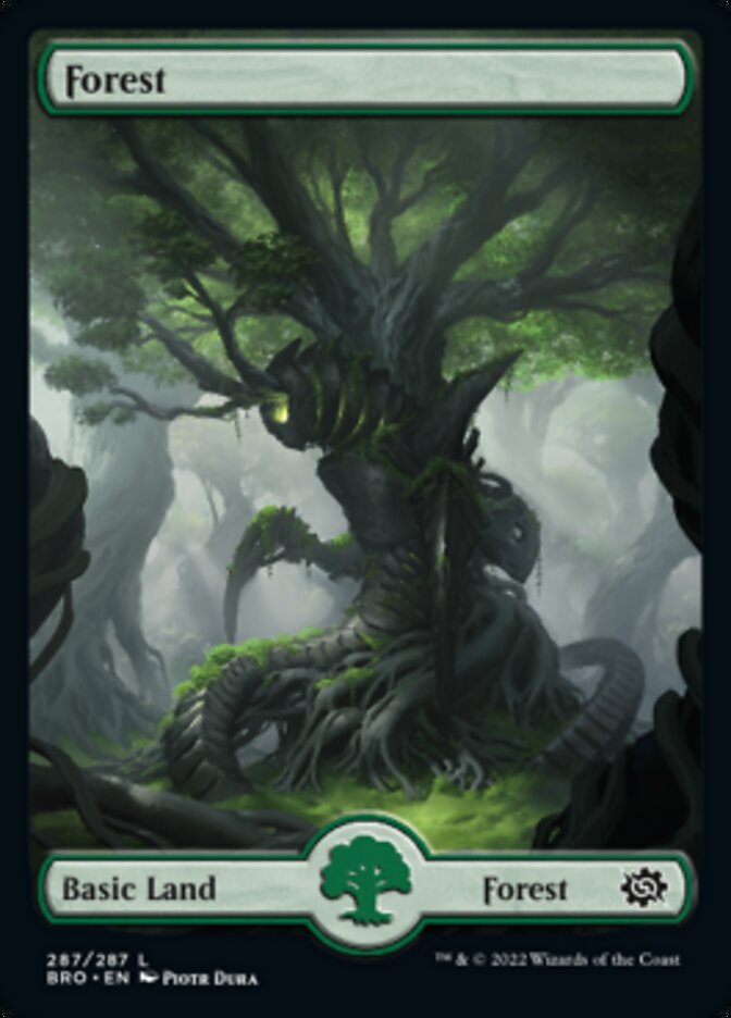 Forest (287) [The Brothers' War] | Eastridge Sports Cards & Games