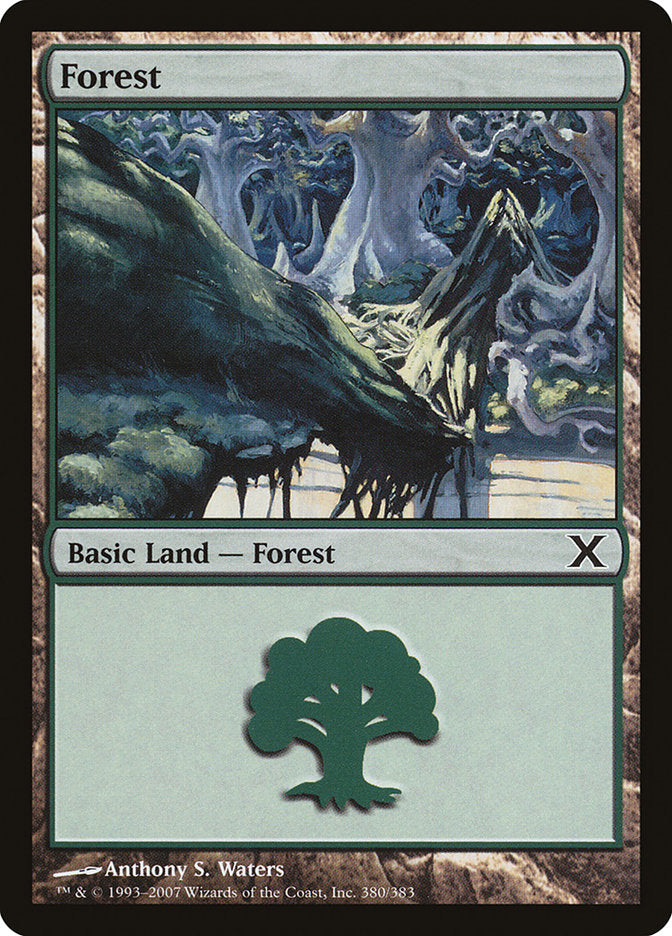 Forest (380) [Tenth Edition] | Eastridge Sports Cards & Games